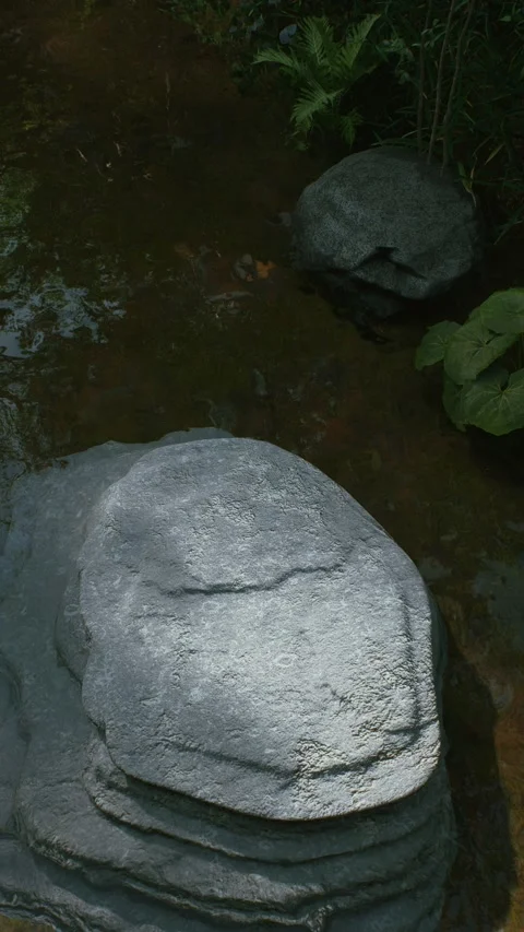 Stream 2 Stock Footage 317543602