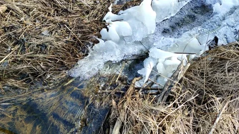 Stream (20) 4K 30 FPS Stock Footage 269467270