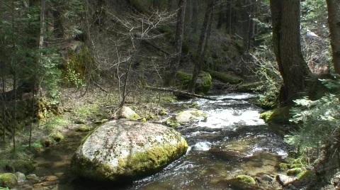 Stream 20 Stock Footage 479547