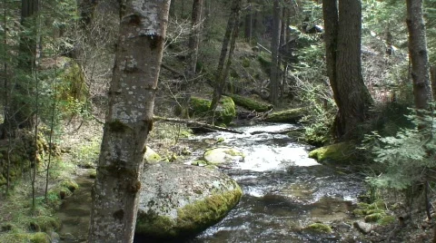 Stream 21 Stock Footage 479543