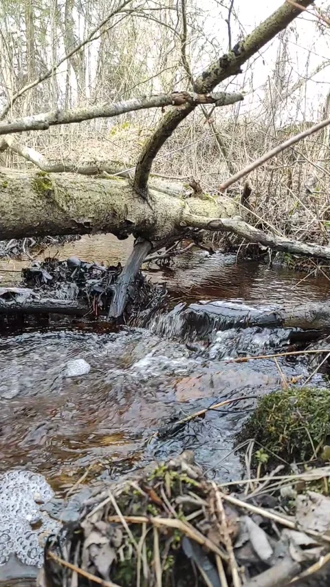 Stream (21) Full HD 60 FPS Video stock 269663647