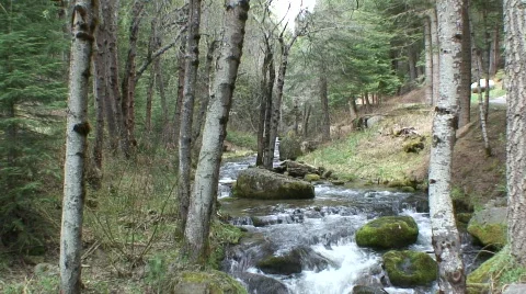 Stream 22 Vídeo Stock 479540