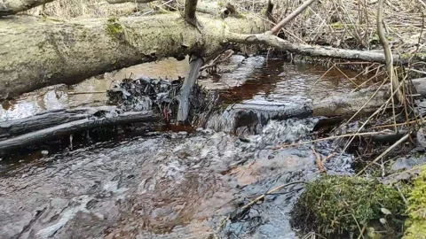 Stream (22) Full HD 60 FPS Stock Footage 269671491