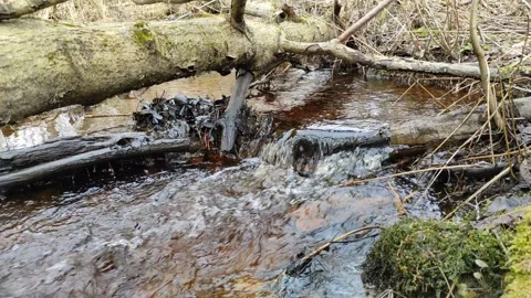 Stream (23) 4K 30 FPS Stock Footage 269672405