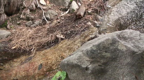 Stream 23 Stock-Footage 479535