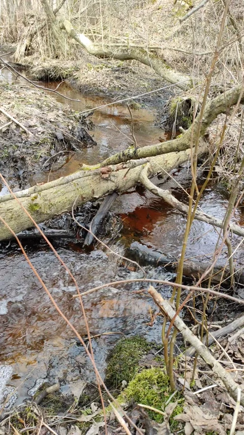 Stream (25) 4K 30 FPS Stock Footage 269676953