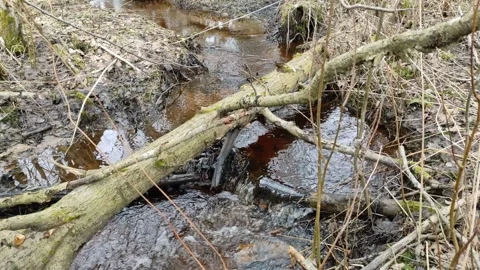 Stream (26) 4K 30 FPS Stock Footage 269677005