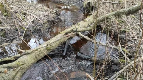 Stream (27) Full HD 60 FPS Stock Footage 269678850