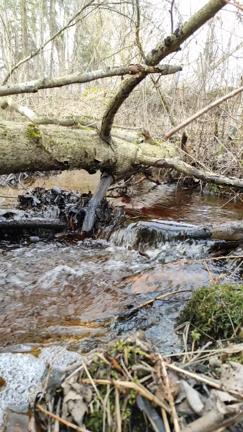 Stream (28) 4K 30 FPS Stock Footage 269679511