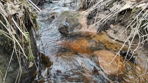 Stream (29) Full HD 60 FPS Video stock 269681896