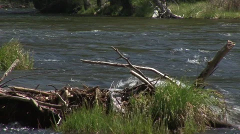 Stream 3 Stock Footage 476154