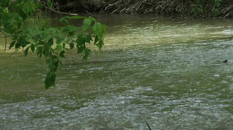 Stream 3 Stock Footage 757752