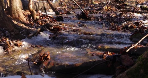 Stream 3 Stock Footage 73273957