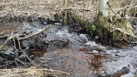 Stream (30) Full HD 60 FPS Stock-Footage 269682427