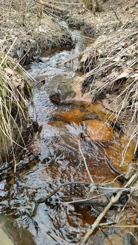 Stream (31) 4K 30 FPS Stock Footage 269684767