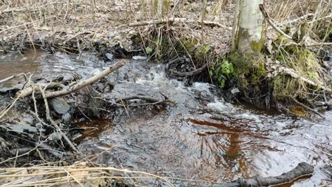 Stream (32) 4K 30 FPS Video stock 269686847