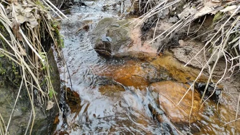 Stream (33) 4K 30 FPS Stock Footage 269686880