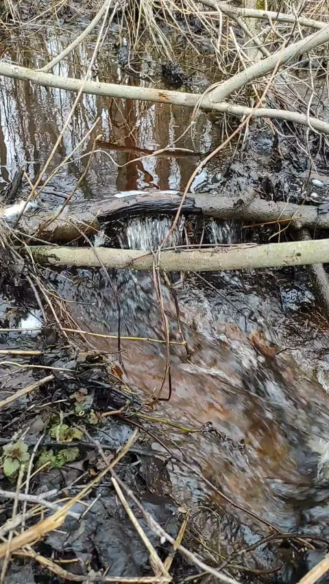 Stream (34) Full HD 60 FPS Stock Footage 269691558