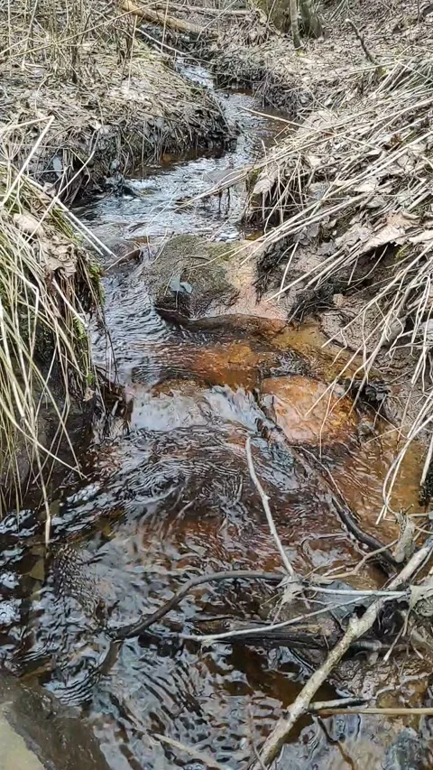 Stream (35) Full HD 60 FPS Stock Footage 269691683