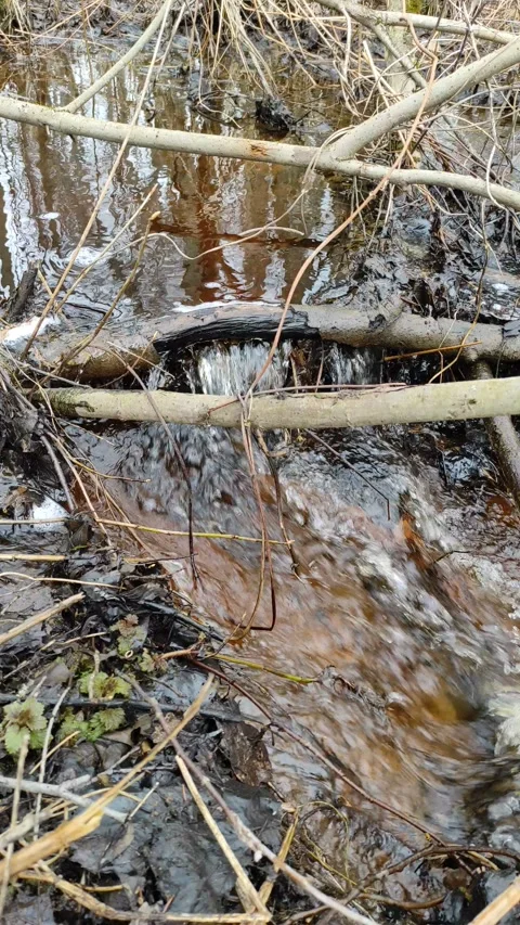 Stream (37) 4K 30 FPS Stock Footage 269693283