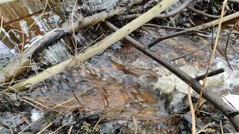 Stream (38) 4K 30 FPS Stock-Footage 269693327