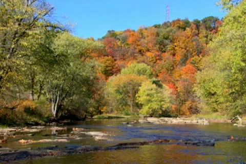 Stream 4 Stock Footage 22376582