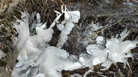 Stream (4) Full HD 60 FPS Video stock 268646031