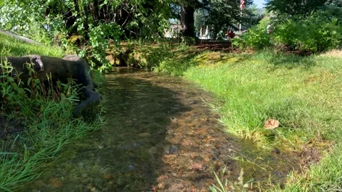 Stream 4k Timelapse Stock Footage 201387118