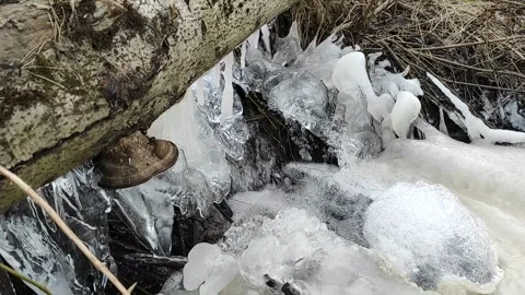 Stream (5) Full HD 60 FPS Stock Footage 268646330