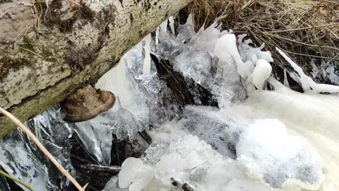 Stream (6) 4K 30 FPS Stock Footage 268646871