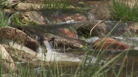 Stream 6 스톡 동영상 476142