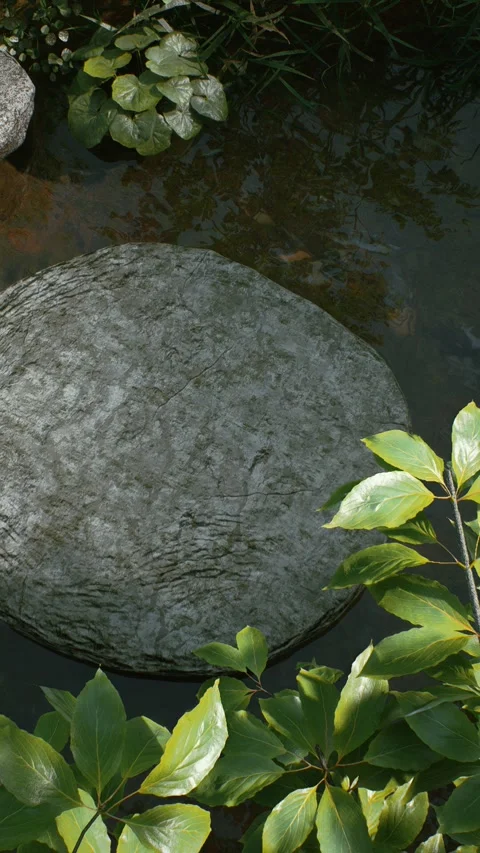 Stream 6 Stock Footage 317543644