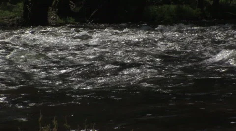 Stream 7 Stock Footage 476137