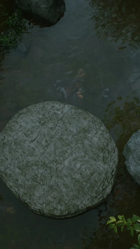 Stream 7 Stock Footage 317543645