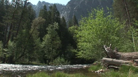 Stream 8 Stock-Footage 476136