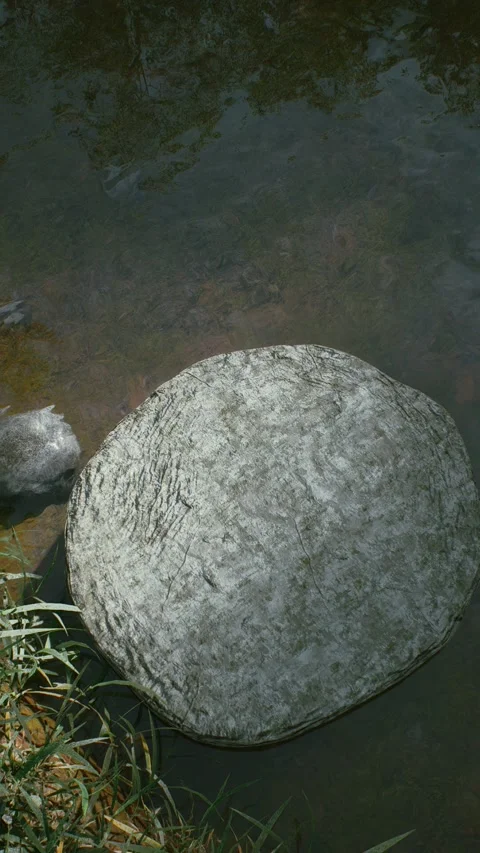 Stream 8 Stock Footage 317543647