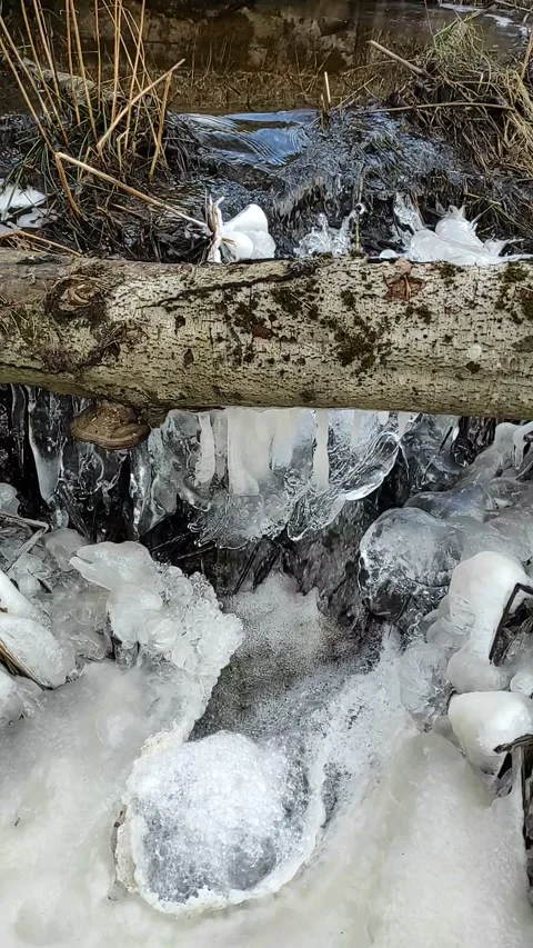 Stream (8) Full HD 60 FPS Video stock 268647879