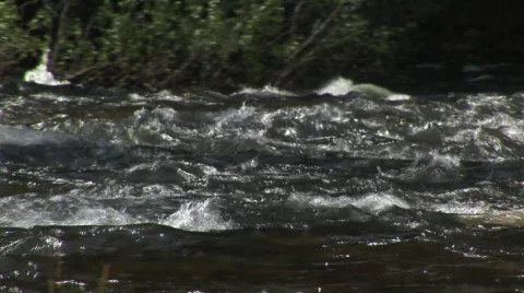 Stream 9 Stock Footage 476133