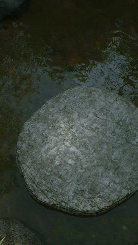 Stream 9 Stock-Footage 317543557