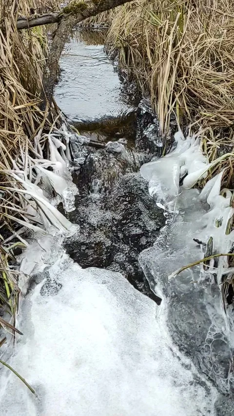 Stream (9) Full HD 60 FPS Stock Footage 269458462