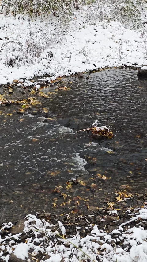 A stream after a heavy snowfall (vertical video) Stock Footage 329070777