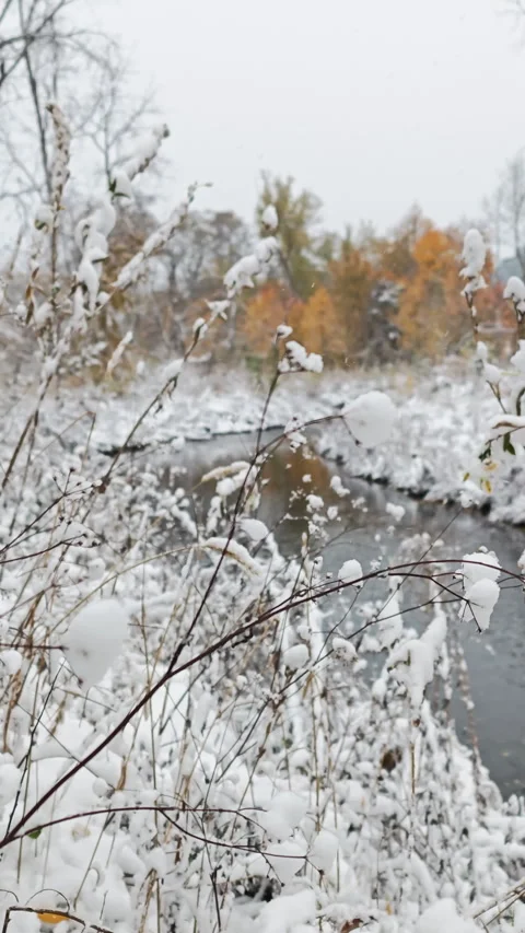 A stream after a heavy snowfall (vertical video) Stock Footage 329070778