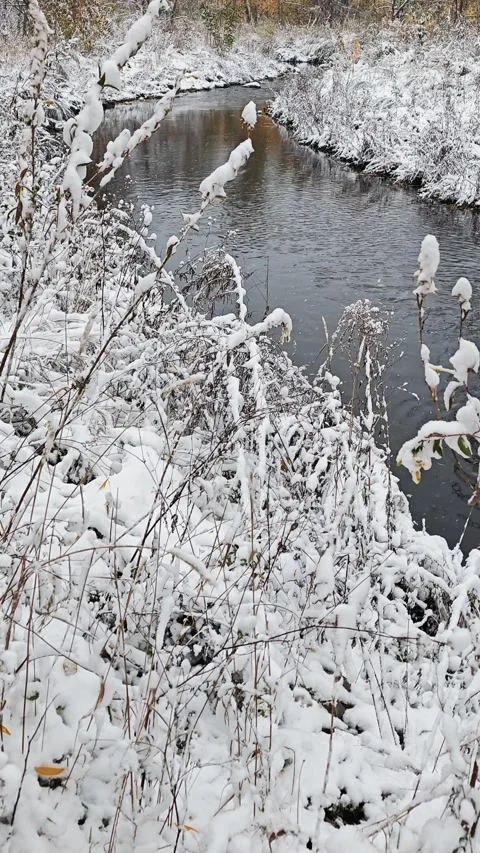 A stream after a heavy snowfall (vertical video) Stock Footage 329070779