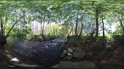 Stream with alluvial forest, VR360, VR, 360VR Stock Footage 107378868