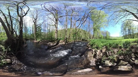 Stream with alluvial forest, VR360, VR, 360VR Stock Footage 107379075