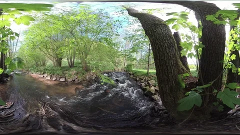 Stream with alluvial forest, VR360, VR, 360VR Stock Footage 107379289
