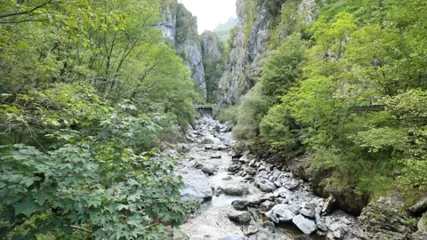 Stream along Brembana valley Stock Footage 137692377