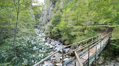 Stream along Brembana valley Stock Footage 137706660