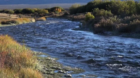 Stream along the Nez Perce trail Stock Footage 42133363