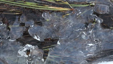 Stream and air bubbles flowing under ice, England, UK Video stock 297690858